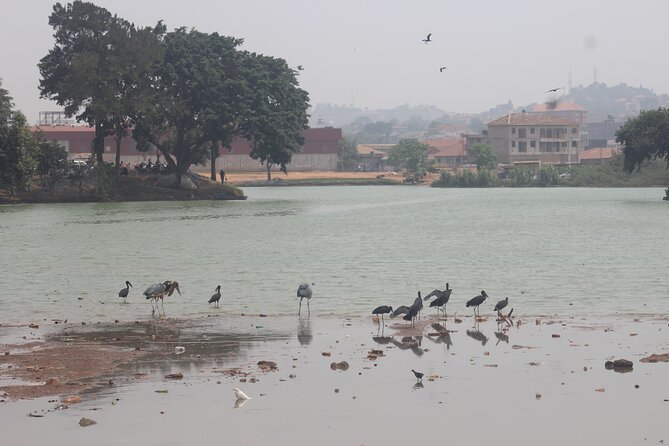 Best Full Day Cultural Tour of Kampala - Pickup and Transportation