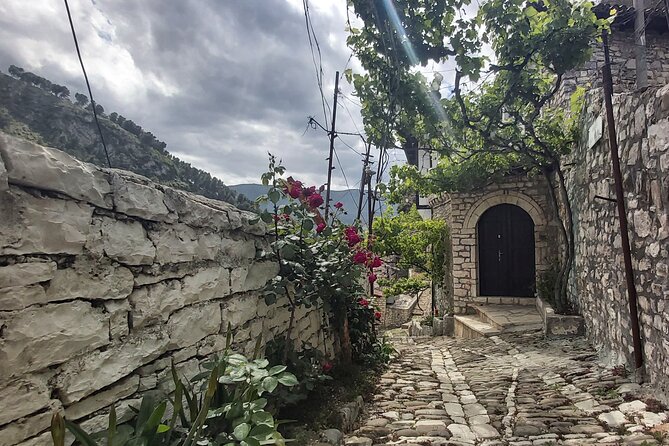 Best of Berat and Durres Full Day Tour - Tour Reviews