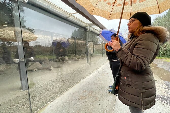Best of Pompeii Small Group Guided Tour With Tickets - Immersive Experience