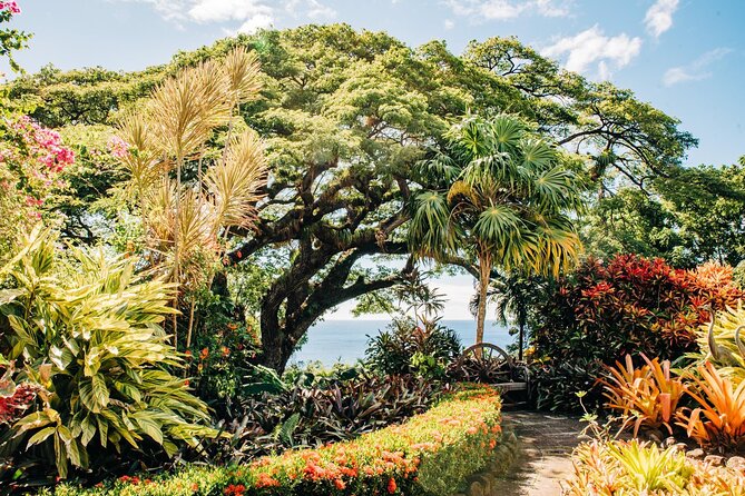 Best of St. Kitts Private Half Day Tour - Pickup Information