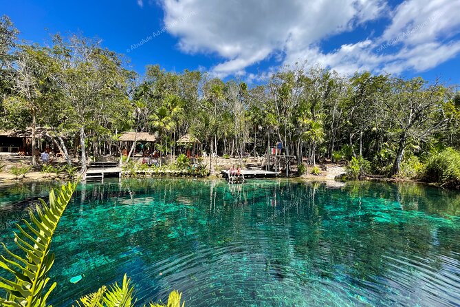 Bestseller! Tulum Private Tour With Turtles and Cenote Snorkeling - Guest Reviews and Feedback