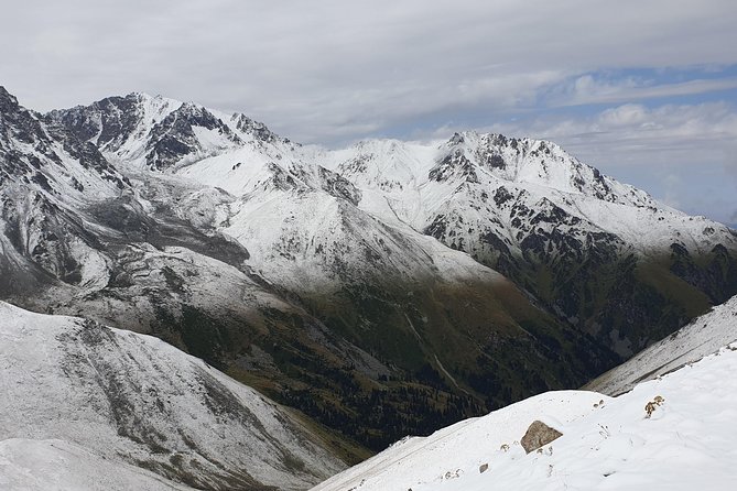 Big Almaty Lake and City Private Tour - Inclusions and Amenities