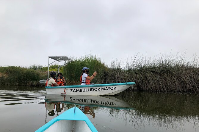 Biking to Wildlife Refuge and Birdwatching (Pantanos De Villas) - Combining Cycling and Adventure