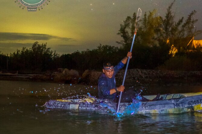 Bioluminescence and Astronomy Night Kayak Tour - Participant Experiences