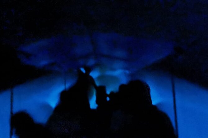 Bioluminescent Night Tour - Tour Experience
