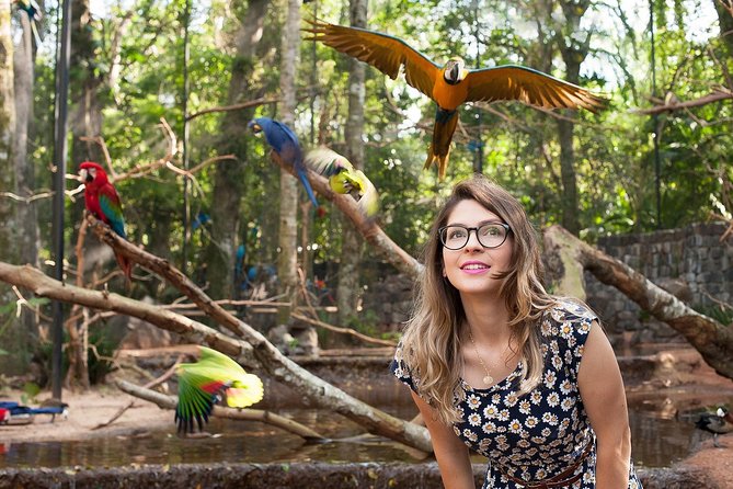 Bird Park & Iguassu Brazilian Side From Puerto Iguazú Hotels - Private Tour - Accessibility and Recommendations