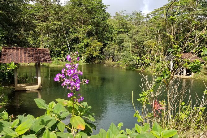 Bird-Watching and Wildlife Tour - Participant Feedback