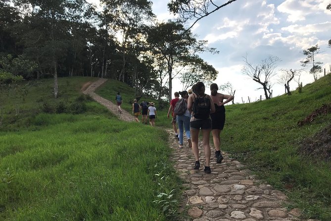 Bird Watching Tour Departing From Bogota. (2 Days) - Stunning Bird Sightings