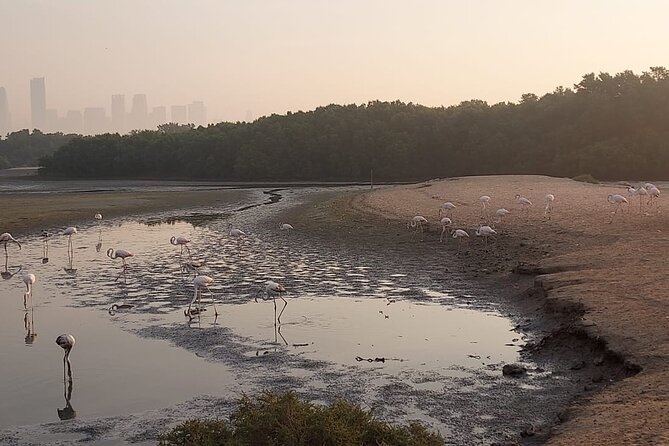 Bird Watching Tour Dubai - Pickup and Drop-off Details