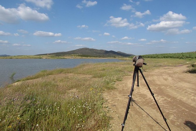 Birdwatching Day Around Castro Verde - Participation Details and Requirements