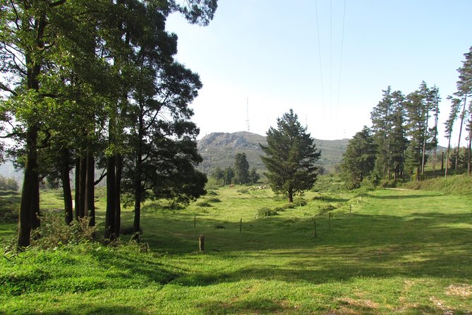 Birdwatching Day in the Monchique Hills - Participant Accommodations