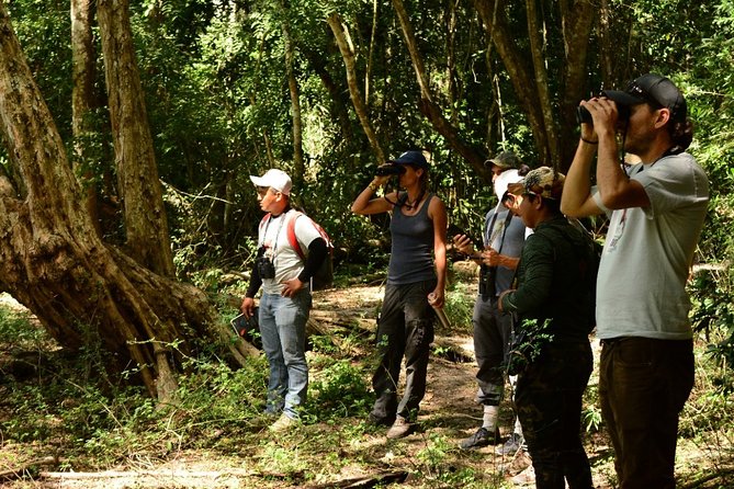 Birdwatching in Coba From Tulum - Pickup Information