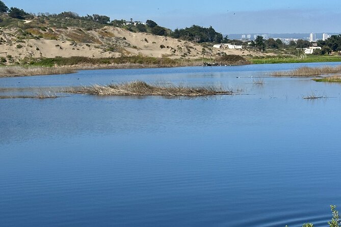 BirdWatching Mantagua Wetland&Penguins Cachagua Island From Valpo - Tour Participation