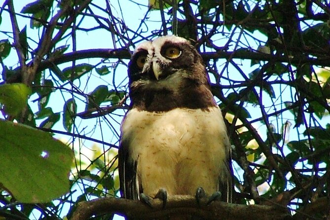 Birdwatching Tour - Questions About Your Stay
