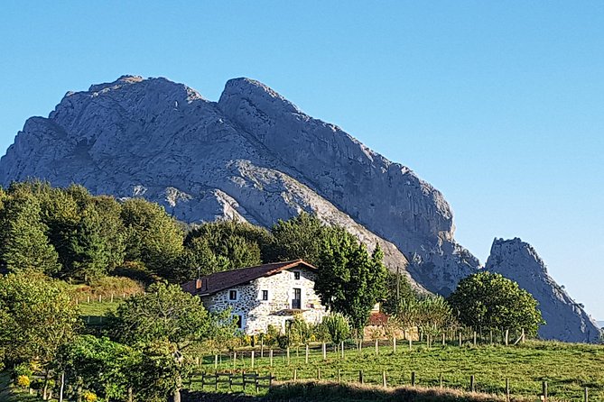 Biscay Tour Along the Duranguesado Route  - Bilbao - Accessibility and Accommodations