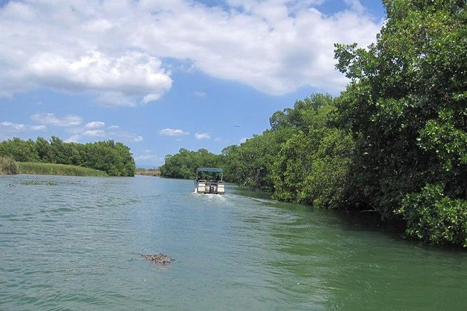 Black River Safari Tour From Kingston - The Black River