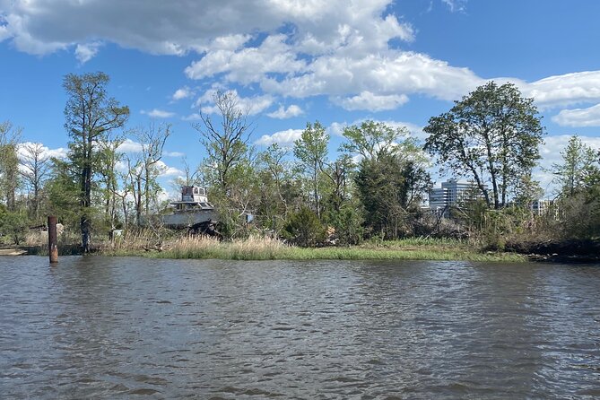 Black Water Adventure Cruise - Ideal for Time-Constrained Travelers