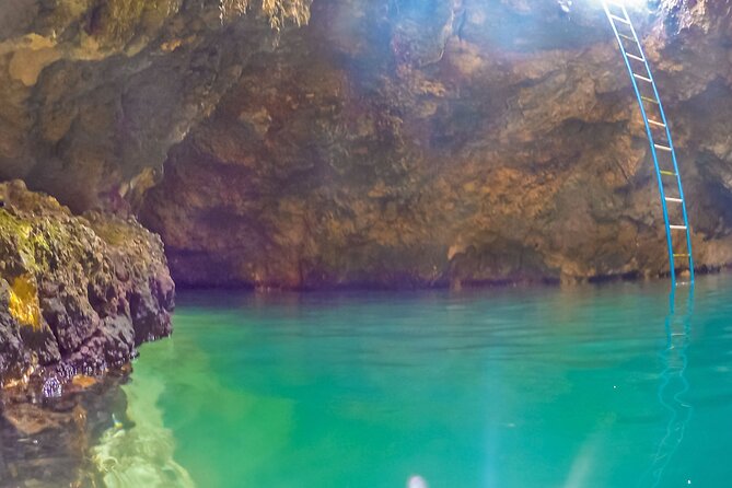 Blue Hole Mineral Spring and Herb Farm Private Tour - Health Considerations