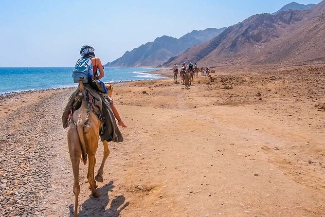 Blue Hole National Park, Canyon By Bus, Camel Ride, BBQ Lunch, - Sharm El Sheikh - Inclusions and Pricing