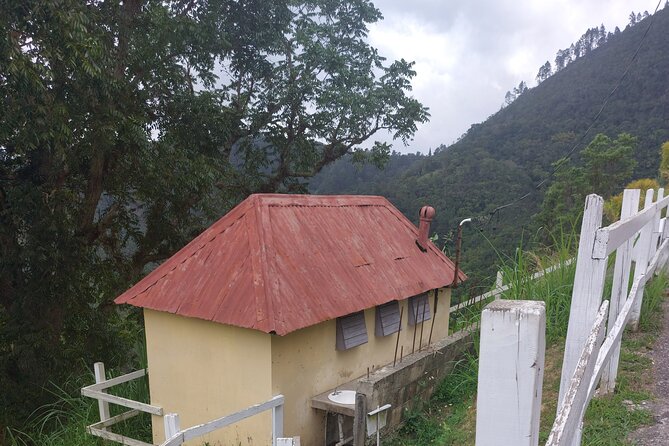 Blue Mountain Sight-Seeing & Nature Trail Hike With Private Guide - Booking and Cancellation