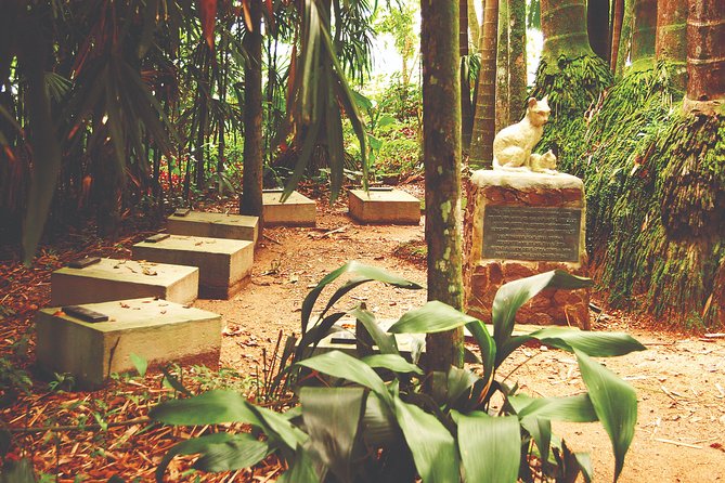 Blumenau City Tour - Departing From Florianópolis - Booking and Cancellation Policy
