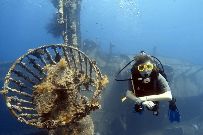 Boat Dive 2 Guided Dives With Lunch Included Wreck Dive&Reef Dive - Meeting and Pickup