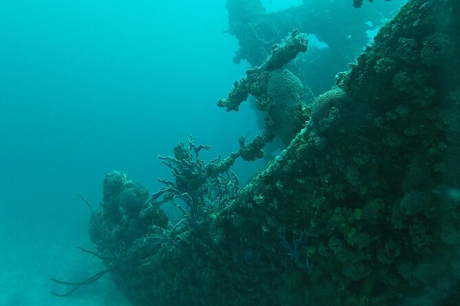 Boat Dive Shipwreck/ Airplanes/ Reef /2 Tanks - Review Highlights