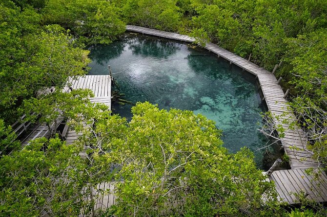 Boat Tour of Three Islands in Holbox With Transportation - Guide Performance