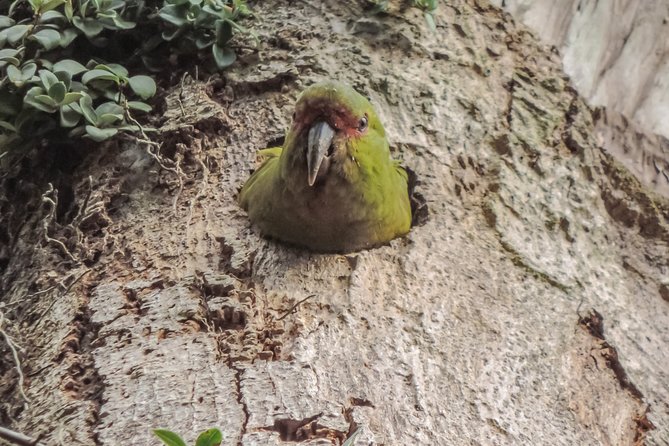 Bosque Piedra Reserve Tour - Health and Safety Considerations