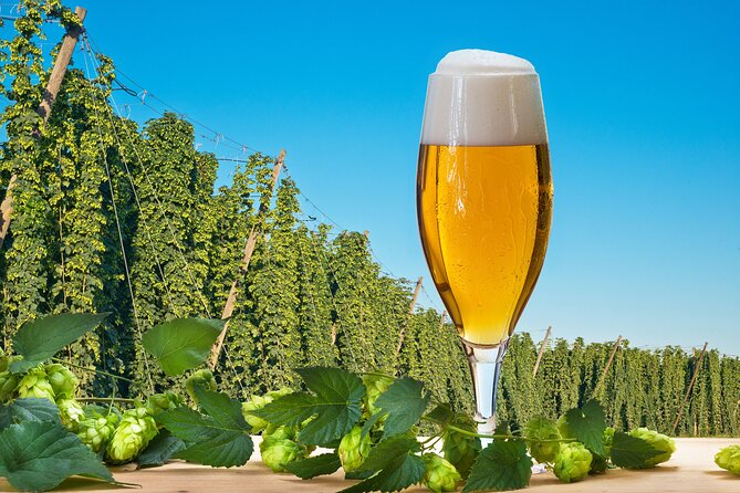 Brewery Tour With Tapping School and Dinner - Accessibility Information