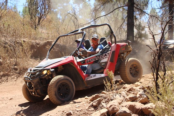 Buggy Safari Teide National Park - Host Response to Feedback