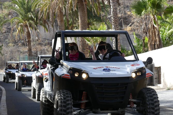 Buggy Tour of 2 Hours in the Afternoon With Transfers Only South Zone - Itinerary Details