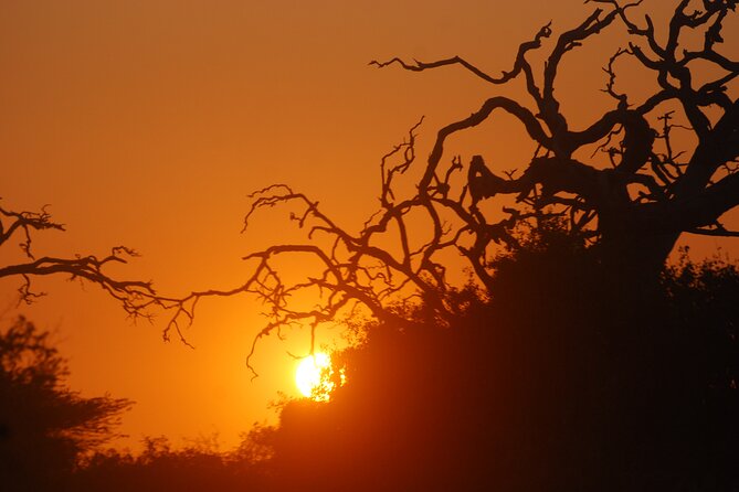 Bundala Birds Safari by Jeeps - Inclusions of the Tour