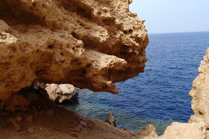 Bus Tour to Ras Mohamed From Sharm El Sheikh - Booking Details