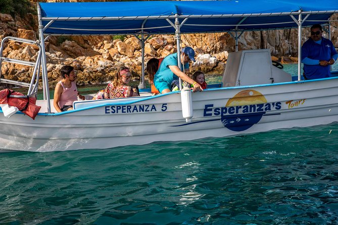Cabo San Lucas Boat Tour - Traveler Reviews and Feedback