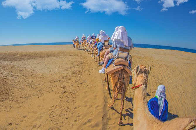 Cabo San Lucas Camel Ride With Mexican Buffet and Tequila Tasting - Cultural Insights