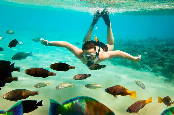 Cabo San Lucas Shopping, Tequila Tasting, and Snorkel Tour - Traveler Reviews and Feedback
