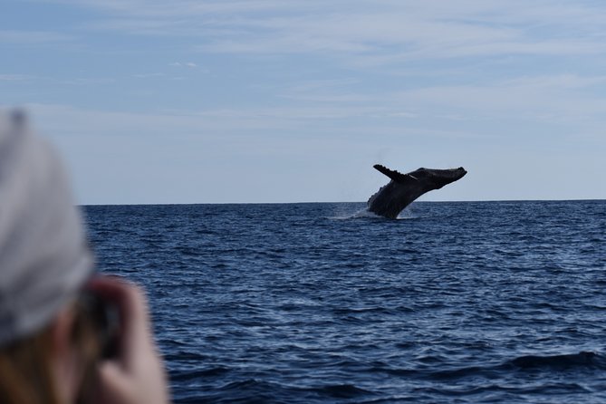 Cabo San Lucas Whale Watching Tour With Photos Included - Knowledgeable and Friendly Guides
