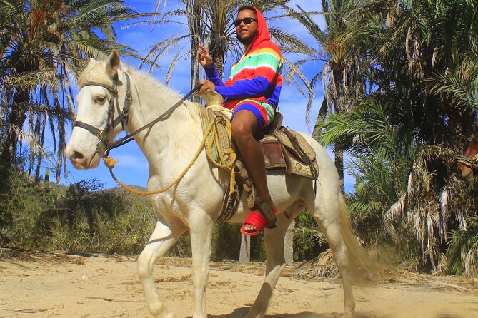 Cabo White Sand Horseback Riding Tour and Tequila Tasting - Customer Feedback and Experiences
