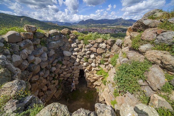 Cagliari: Is Cannoneris Nature Reserve Jeep and Walking Private Tour From Chia - Included Experiences and Tastings
