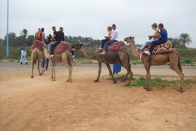 Camel Barbecue Sunset Agadir City - Preparing for the Camel Barbecue Sunset