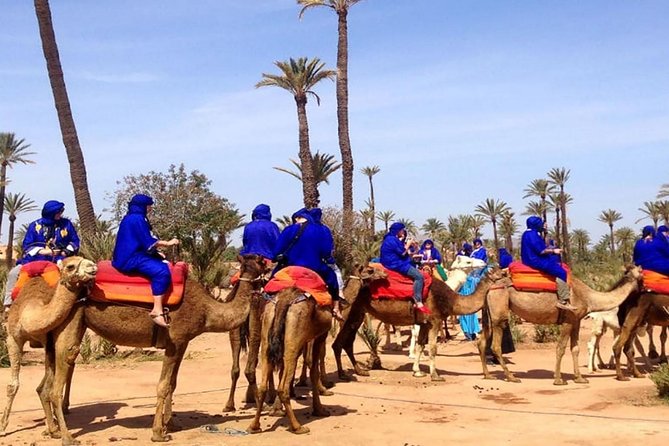 Camel Ride and Quad Bike in Palmeraie - Meeting and Pickup