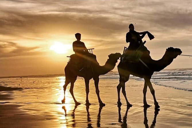 Camel Riding - What to Expect During the Tour