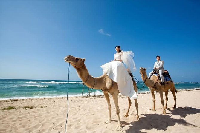 Camel Safari 30 Minutes in White Sand Beach - Health and Safety Guidelines