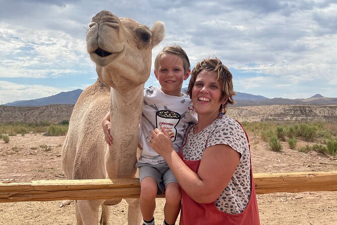 Camel Safari - Camel Ride and Zoo Tour - Accessibility Features