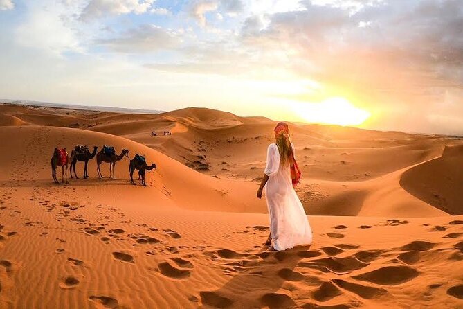 Camel Trekking Tour in Dubai Desert | BBQ Dinner| Sand Boarding| Live Shows... - Camel Ride Experience