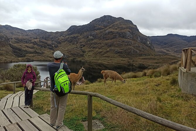 Camping Tour Cajas National Park From Cuenca - Requirements and Restrictions
