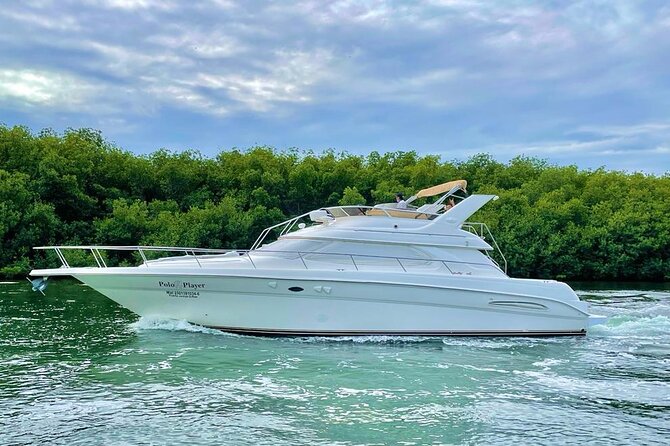 Cancun Yacht Tour - SEARAY YACHT 46 FT GREAT FOR SUNSET 15 PEOPLE MAX 25P9 - Customer Reviews