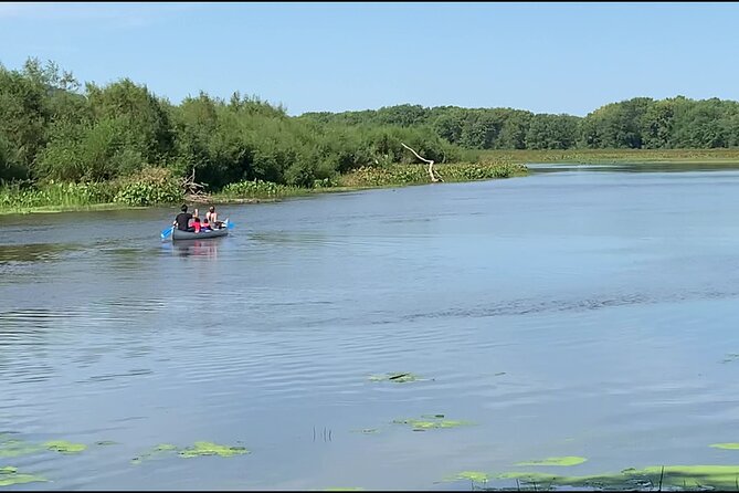 Canoe/Kayak Day Tour of Mississippi Wildlife & Fish Refuge - Tour Experience