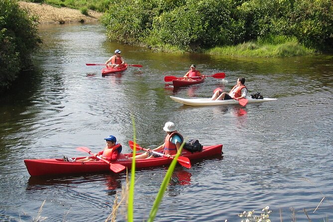 Canoe, Kayak, Paddleboard Rouge River - Self Guided Descent - Meeting and Pickup Information